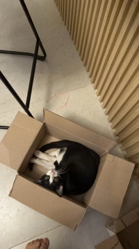 1782417901_1.jpeg?f=webp&w=200