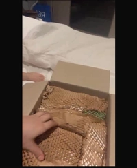 1782739516_1.jpeg?f=webp&w=200