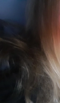 1783265434_1.jpg?f=webp&w=200