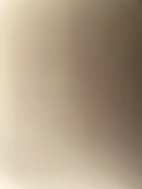 1783337358_1.jpg?f=webp&w=200