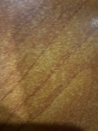 1783435454_1.jpg?f=webp&w=200