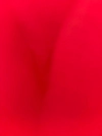 1783948584_1.jpg?f=webp&w=200