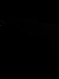 1784485108_1.jpg?f=webp&w=200