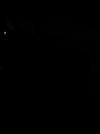 1784485162_1.jpg?f=webp&w=200
