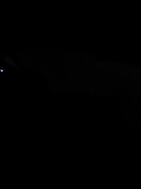 1784485205_1.jpg?f=webp&w=200
