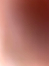 1784697348_1.jpg?f=webp&w=200