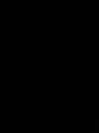 1784752980_1.jpg?f=webp&w=200