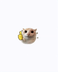 1785151763_1.jpg?f=webp&w=200