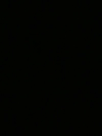 1785276493_1.jpg?f=webp&w=200