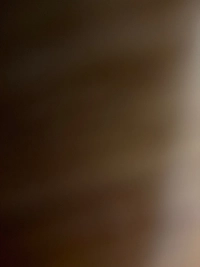 1785354211_1.jpg?f=webp&w=200