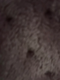 1786060186_1.jpg?f=webp&w=200
