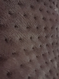 1786061414_1.jpg?f=webp&w=200