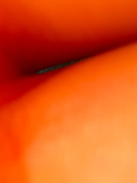 1787675000_1.jpg?f=webp&w=200