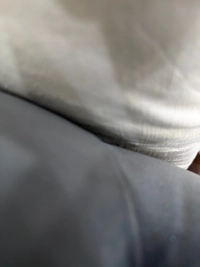 1787675724_1.jpg?f=webp&w=200