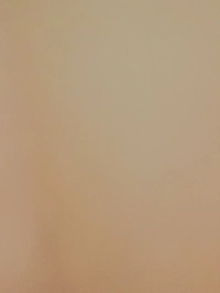1789388116_1.jpg?f=webp&w=200