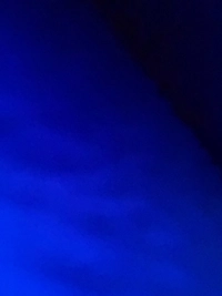 1789902942_1.jpg?f=webp&w=200
