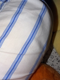 1790168904_1.jpg?f=webp&w=200