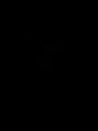 1790168976_1.jpg?f=webp&w=200