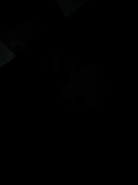 1790169208_1.jpg?f=webp&w=200