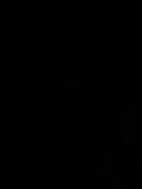 1790177908_1.jpg?f=webp&w=200