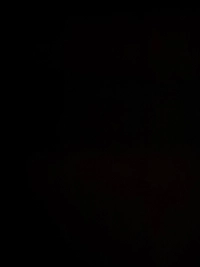 1790178271_1.jpg?f=webp&w=200