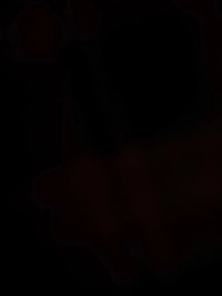 1790178916_1.jpg?f=webp&w=200