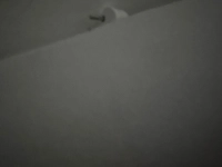 1790395774_1.jpg?f=webp&w=200