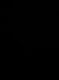 1790486736_1.jpeg?f=webp&w=200