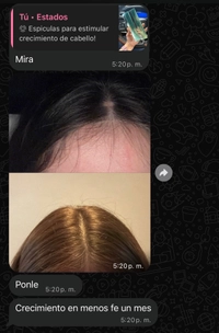 1790839984_1.jpeg?f=webp&w=200