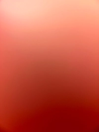 1791301512_1.jpg?f=webp&w=200