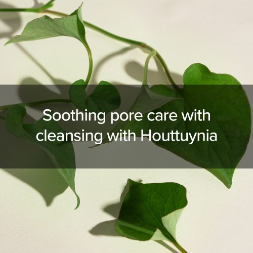 [Mary&May] Houttuynia Cordata + Tea Tree Cleansing Foam 150ml