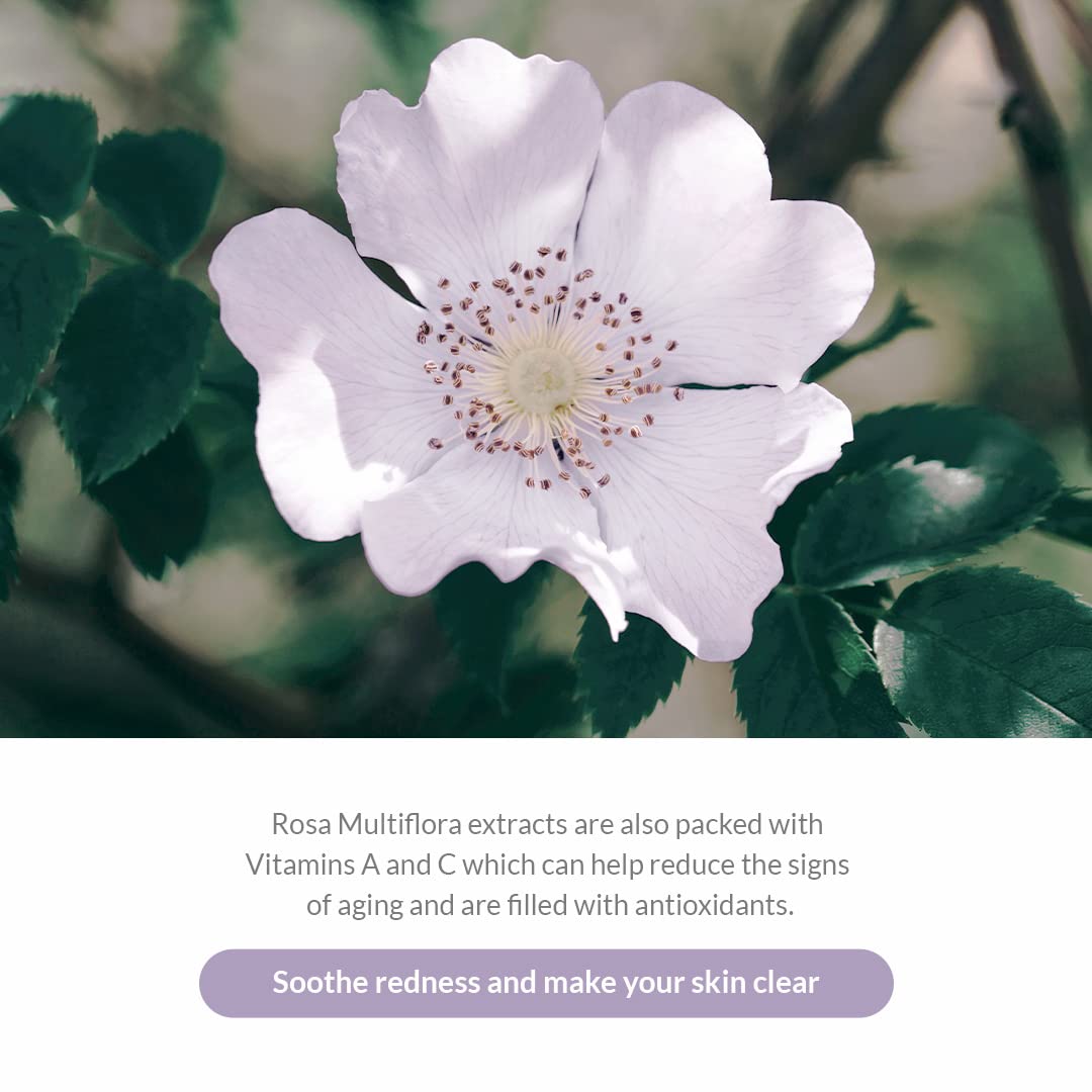 [Dr.Althea] Premium Rosa Modeling Mask Set (25g * 5pack)
