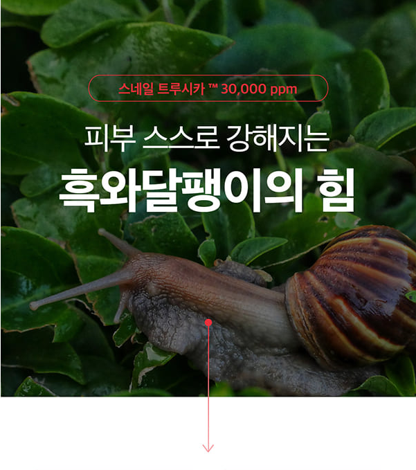 6b7d666468a1ed328b052a2d788123d1_1573701214_4177.PNG
