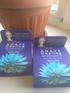 Review Images