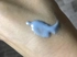 Review Images