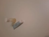 Review Images