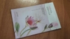Review Images