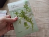 Review Images