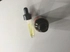 Review Images