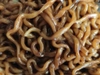 Review Images