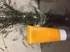 Review Images