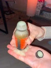 Review Images