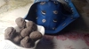 Review Images