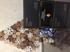 Review Images