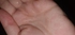 Review Images