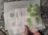 Review Images