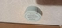 Review Images