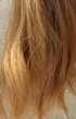 Review Images