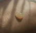 Review Images