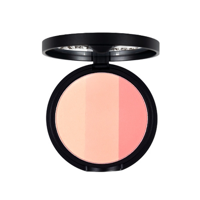 [Too Cool For School] Румяна Art Class By Rodin Blusher #de rose